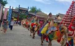 天天操天天干天天透